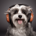 "Meet Alma, our dedicated salesperson, ready to assist you in finding the perfect products for your furry companions."