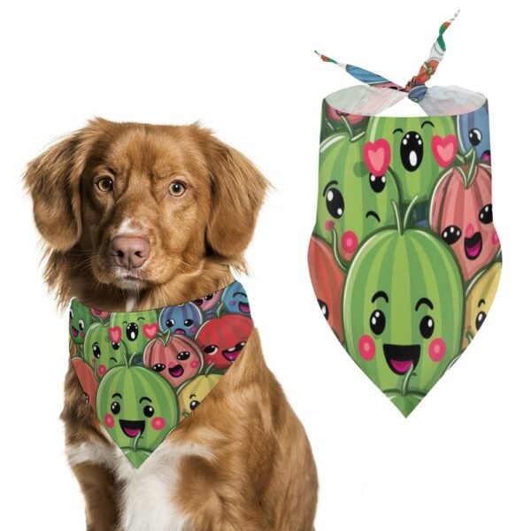 Watermelon Scarf